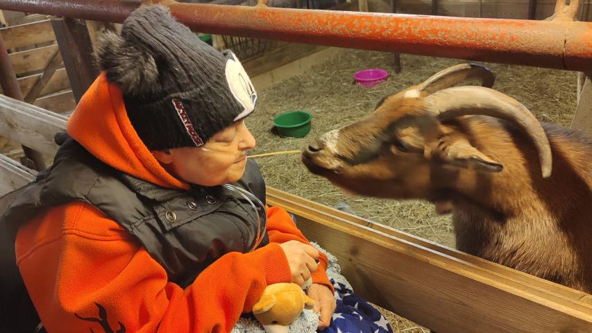 Wunschfahrt zum Erlebnisbauernhof