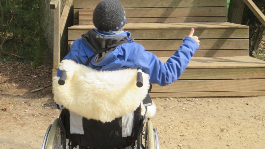 Wunschfahrt zum Wildpark Eekholt